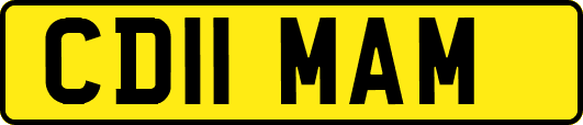 CD11MAM