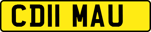 CD11MAU