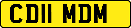 CD11MDM