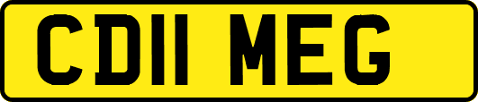 CD11MEG