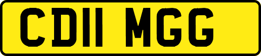 CD11MGG