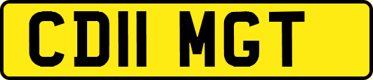 CD11MGT