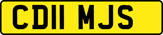 CD11MJS