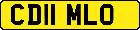 CD11MLO