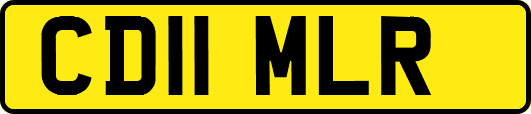 CD11MLR