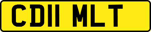 CD11MLT