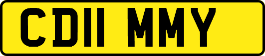 CD11MMY