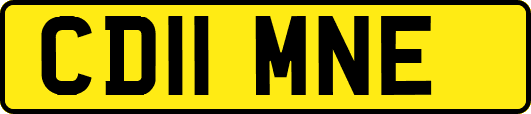 CD11MNE