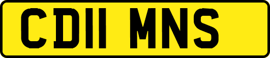CD11MNS