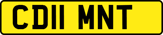 CD11MNT