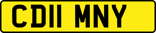 CD11MNY