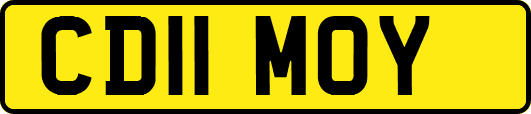 CD11MOY