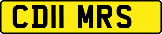 CD11MRS