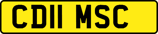 CD11MSC