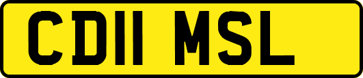 CD11MSL