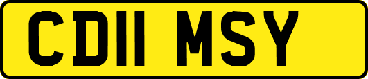 CD11MSY