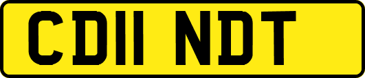 CD11NDT