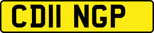 CD11NGP