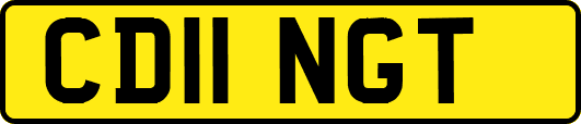 CD11NGT