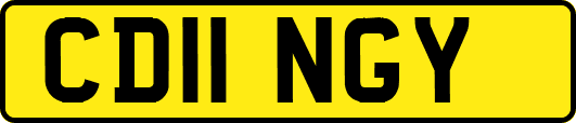 CD11NGY