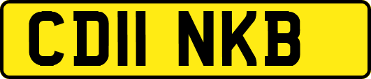 CD11NKB