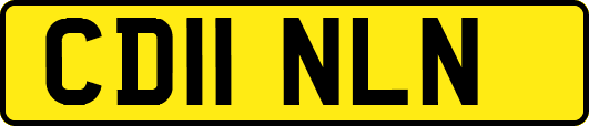 CD11NLN
