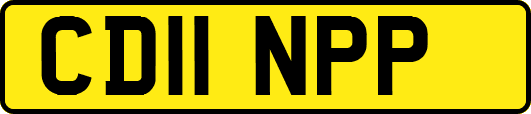 CD11NPP