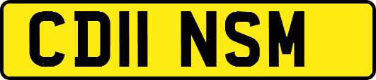 CD11NSM