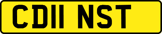 CD11NST