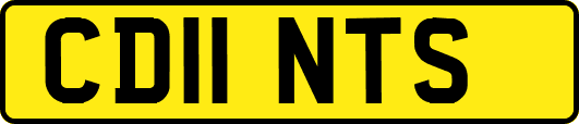 CD11NTS