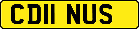 CD11NUS