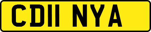 CD11NYA
