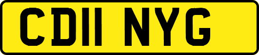 CD11NYG