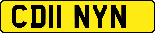 CD11NYN