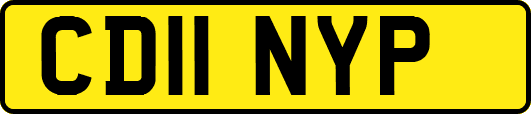 CD11NYP