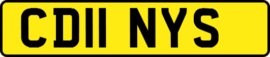 CD11NYS