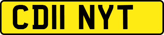 CD11NYT