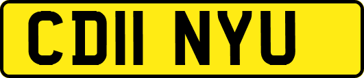 CD11NYU