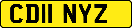 CD11NYZ