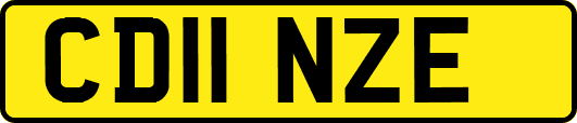 CD11NZE