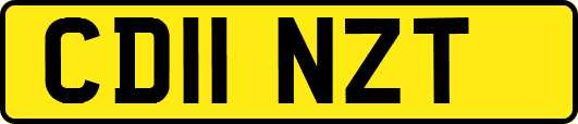 CD11NZT