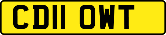 CD11OWT