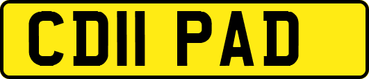 CD11PAD