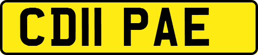 CD11PAE