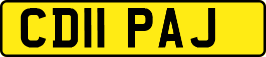 CD11PAJ