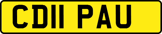 CD11PAU