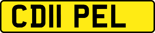 CD11PEL