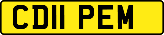 CD11PEM
