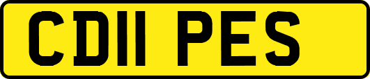CD11PES