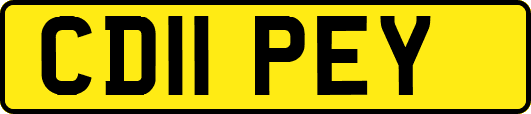 CD11PEY